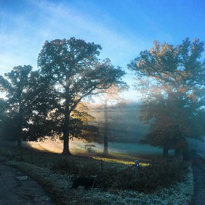 Bien démarrer la journée