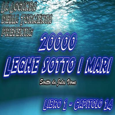 20000 Leghe sotto i mari - Parte 1 - Capitolo 14
