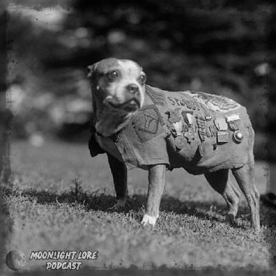 The Heroic Escapades of Sergeant Stubby