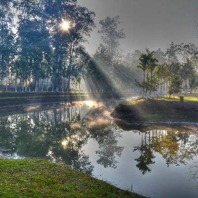 Yoyo古诗 枫桥夜泊 张继