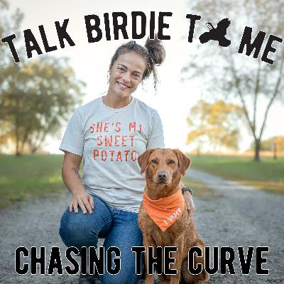 15 | Chasing the Curve 15 | Chasing the Curve