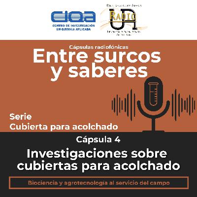 Serie Cubiertas para acolchado: Cápsula 4 - Investigaciones sobre cubiertas para acolchado.