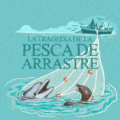 E04 · Pesca de arrastre