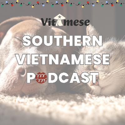 #24 - Cat &Dog - Southern Vietnamese