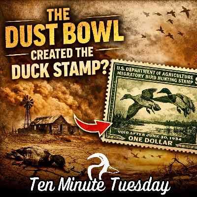 Duck Stamps and the Dust Bowl
