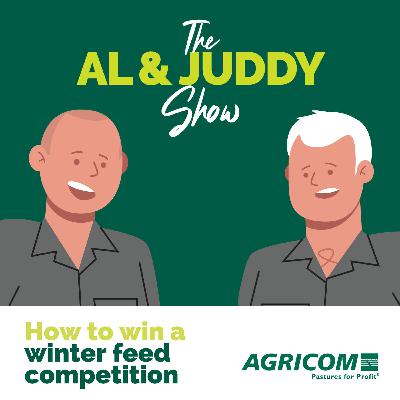 How to win a winter feed competition