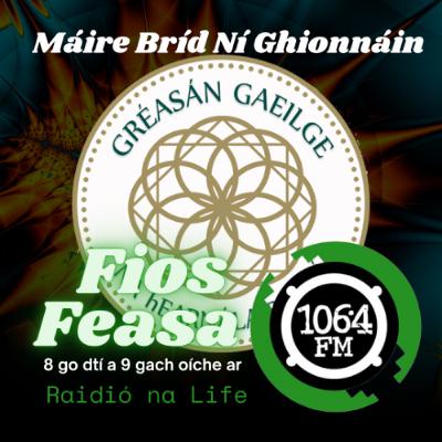 Máire Bríd Ní Ghionnáin - Gréasán Gaeilge na hEarnála Poiblí