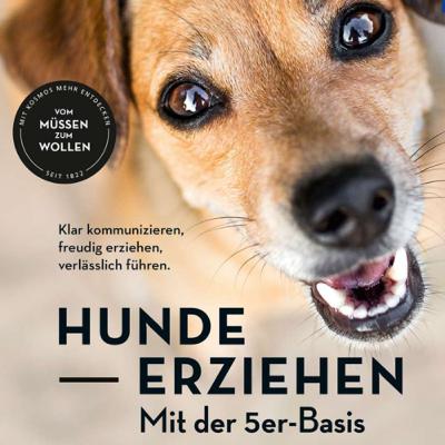 Angsthund - Was nun?