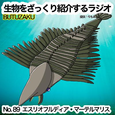 第89話：「エスリオフルデイア・マーテルマリス」をざっくり紹介
