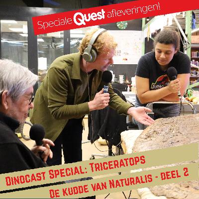 Triceratops: de kudde van Naturalis (deel 2)