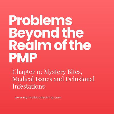 Mystery Bites: Realms Beyond the PMP