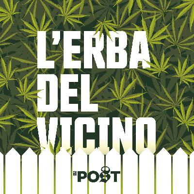 Un trailer, e il resto dal 9 gennaio