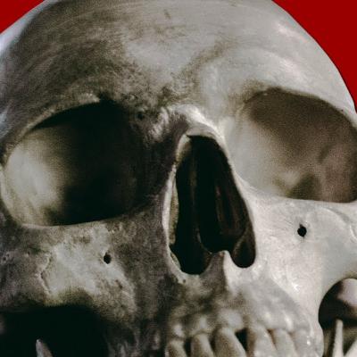 ¿Que Pasa Después de la Muerte? #DirectoHorror (Re-Transmision) ¿Que Pasa Después de la Muerte? #DirectoHorror (Re-Transmision)