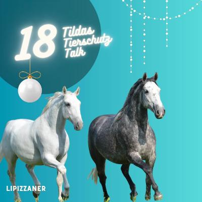 18. Türchen ✨