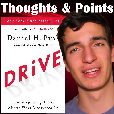 Daniel Pink: Drive: The Surprising Truth About What Motivates Us - Thoughts and Points Daniel Pink: Drive: The Surprising Truth About What Motivates Us - Thoughts and Points