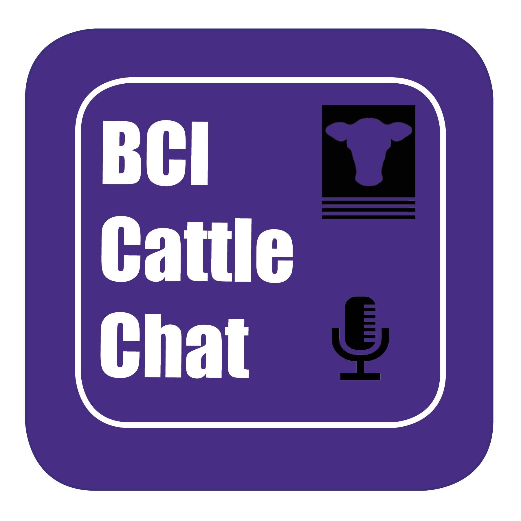 BCI Cattle Chat - Episode 50