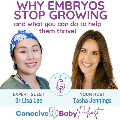 Why Embryo’s Stop Growing - And What You Can Do To Help Them Thrive