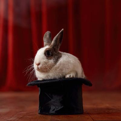 How Should We Explain “Magic” in Movies to Our Kids? (The Patrick Madrid Show)