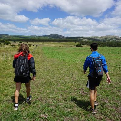 H y P - Programa 44: "Es el tiempo que has perdido con tu rosa lo que hace importante a tu rosa"