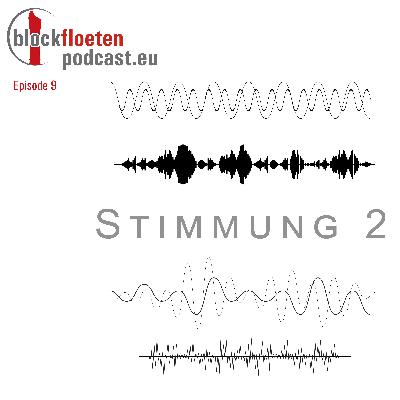 Wie beeinflusse ich die Stimmung einer Blockflöte II ?