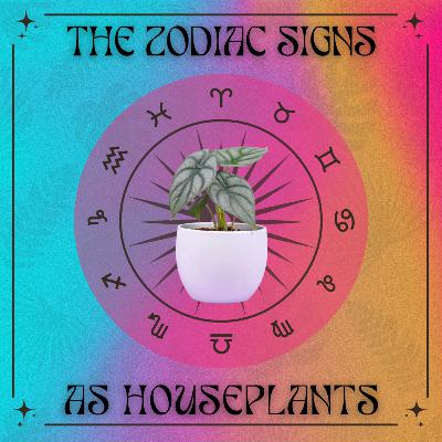 The Zodiac Signs as Houseplants The Zodiac Signs as Houseplants