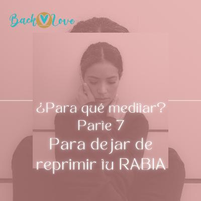 ¿PARA QUÉ MEDITAR? PARTE 7 - PARA DEJAR DE REPRIMIR TU RABIA