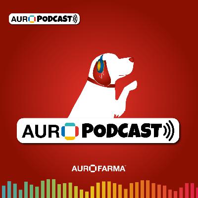 Mascotas - Nutrición en cachorros 🐈🐕 Mascotas - Nutrición en cachorros 🐈🐕