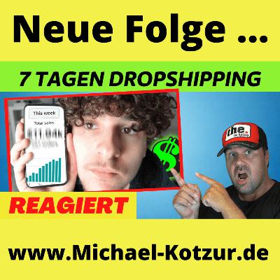 Meine Erfahrung nach 7 Tagen Dropshipping | Erstes Mal Dropshipping - Michael Kotzur reagiert auf