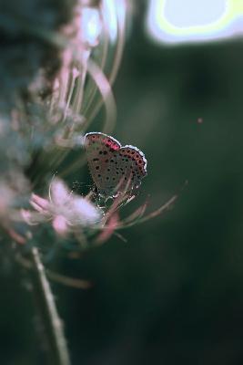 Musings: How Are You, Really?