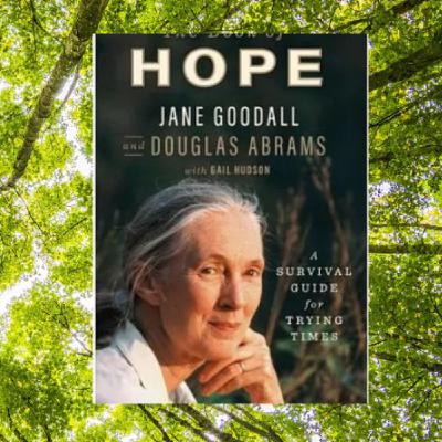 《珍古德自傳》分享「揪感心溝通法」、面對困境平靜釋懷的方法 《珍古德自傳》分享「揪感心溝通法」、面對困境平靜釋懷的方法