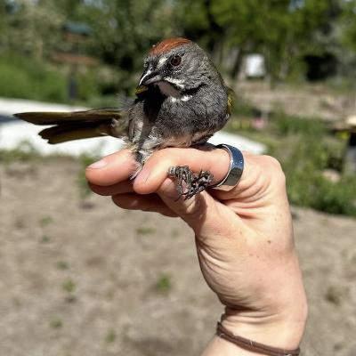 S4E19: Finding Nature's Refuge in Salt Lake Sprawl