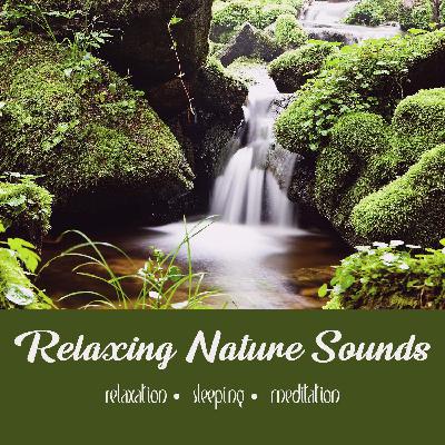 Water Garden | Three Hours