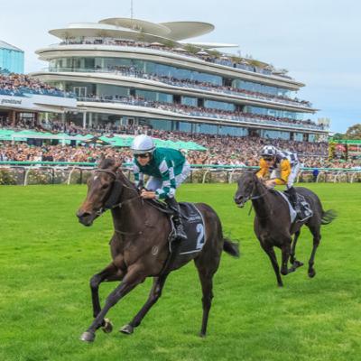 Punter's Preamble - 2026 Blue Diamond Stakes Day