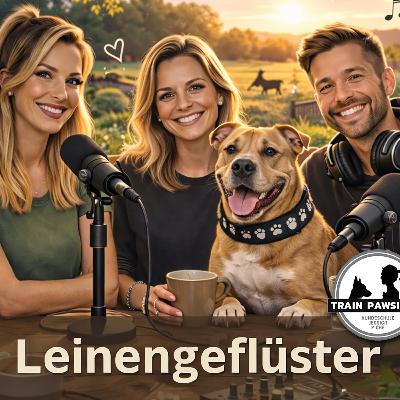 Streamerleben mit zwei Frenchies