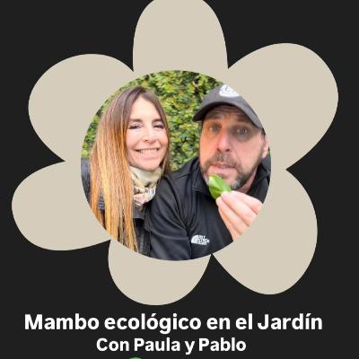 Errores más comunes que cometemos en el jardín