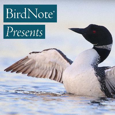 Grouse: Bonus Guest Episode: The Spotted Owl