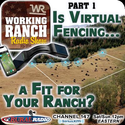 Ep 234: Part 1 - Is Virtual Fencing a Fit for Your Ranch? Ep 234: Part 1 - Is Virtual Fencing a Fit for Your Ranch?