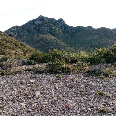 Episodio 2. Poesia para la Vanguardia Primitiva por Santiago Martinez Bringas.