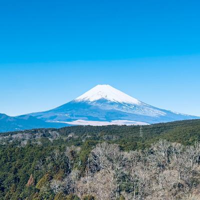 181. 2026年1発目。今年もよろしくお願いします 181. 2026年1発目。今年もよろしくお願いします
