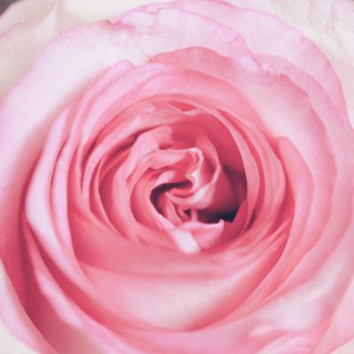 21天豐盛冥想:Day 11 21天豐盛冥想:Day 11