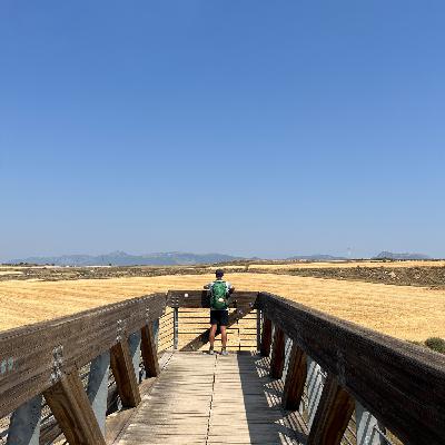 Day 7 Sansol to Logrono