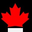 Introduction to Canadian Essay Writing Service