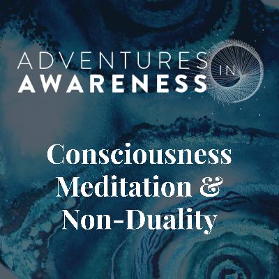 Blind spots of higher states & navigating pain | Andrew Holecek part 2
