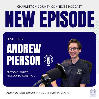 Skeeter Time in the Lowcountry