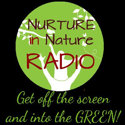 NIN Radio Ep. 13 – Stonework Play with Dr Diana Suskind