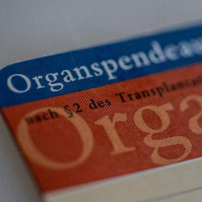 Organspende: "Brauchen transparente Kommunikation"