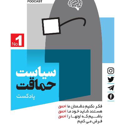 سیاست حماقت