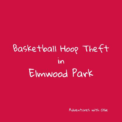 Basketball Hoop Theft in Elmwood Park Basketball Hoop Theft in Elmwood Park