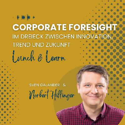 #18 "Im Dreieck zwischen Innovation, Trend und Zukunft" (Gast: Norbert Hillinger, Trend & Innovation Consultant)