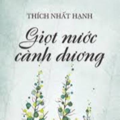 Review sách Giọt nước cành dương (Thầy Thích Nhất Hạnh) - Tập 26
